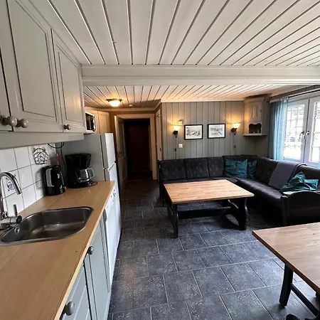 Vikinggrenda 12d Walking Distance To Everything In And Out Сasa de vacaciones Trysil
